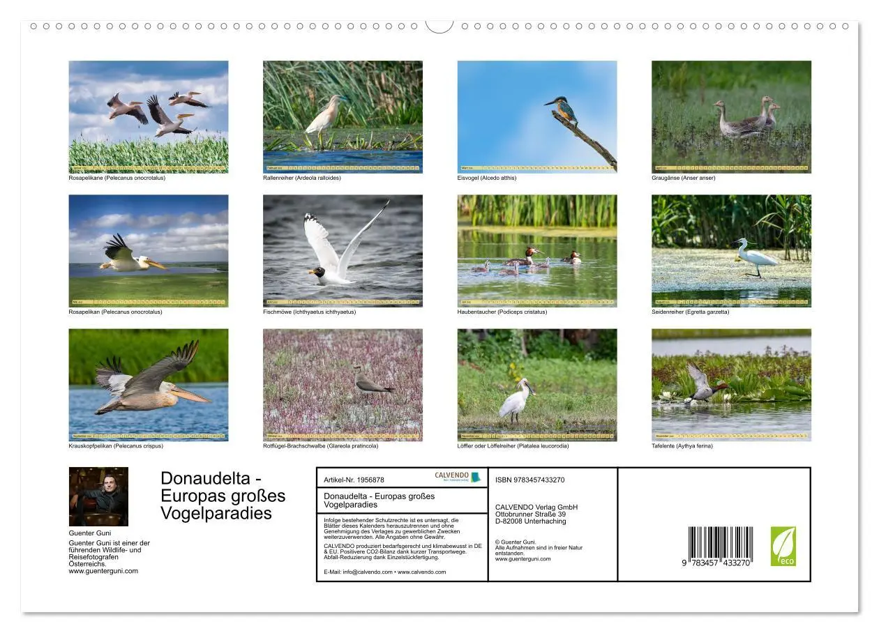 Bild: 9783457433270 | Donaudelta - Europas großes Vogelparadies (hochwertiger Premium...