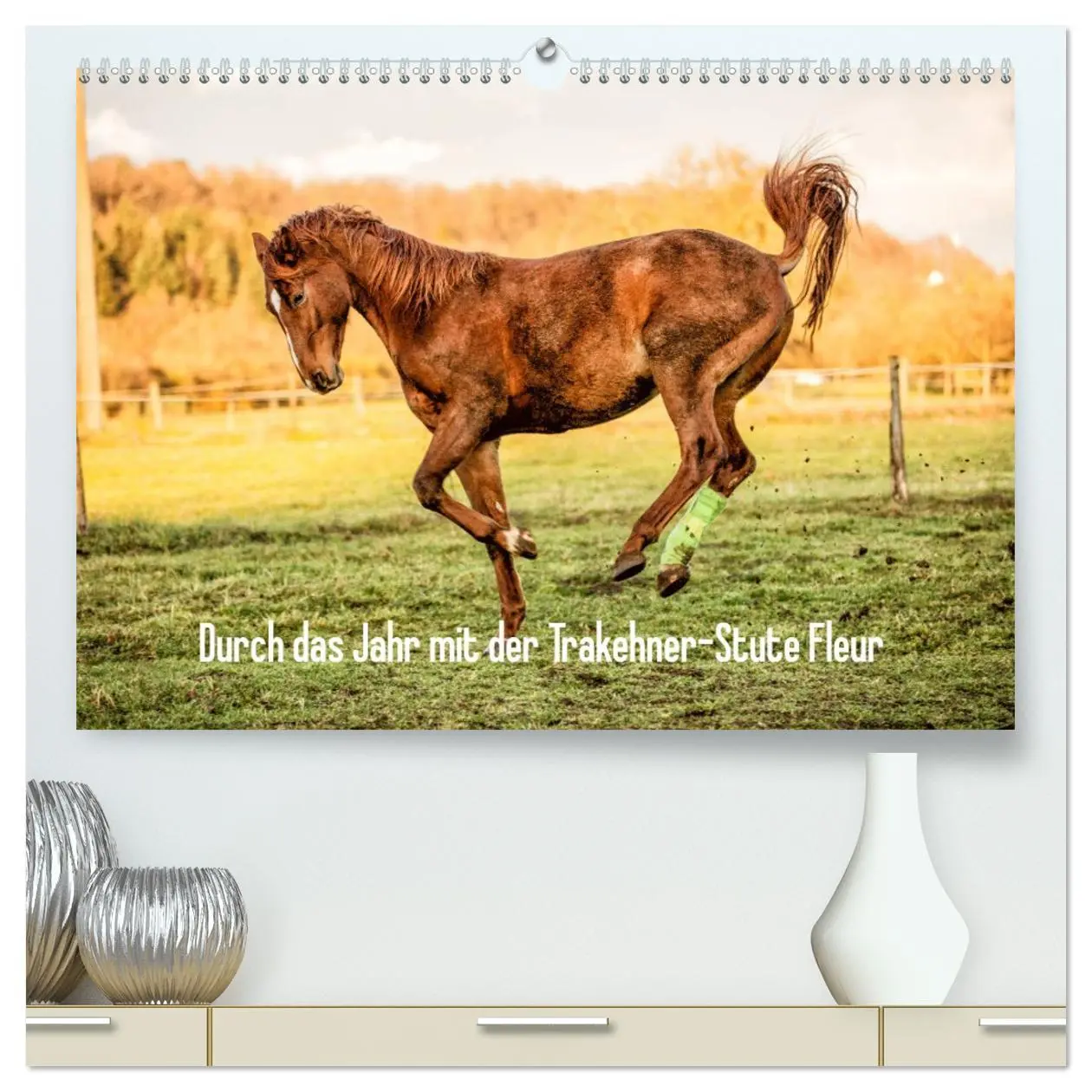 Cover: 9783457673270 | Durch das Jahr mit der Trakehner-Stute Fleur (hochwertiger Premium...