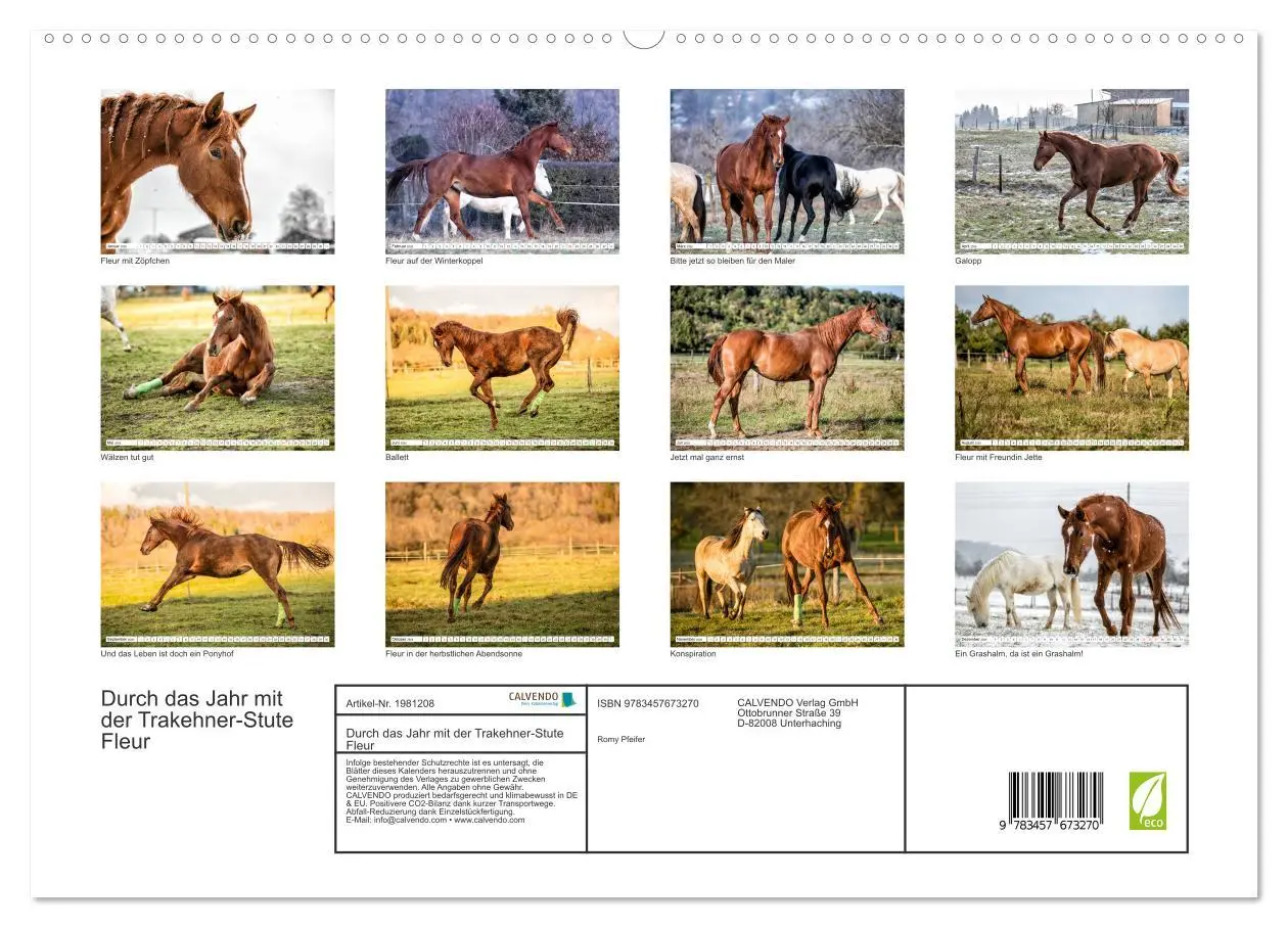 Bild: 9783457673270 | Durch das Jahr mit der Trakehner-Stute Fleur (hochwertiger Premium...