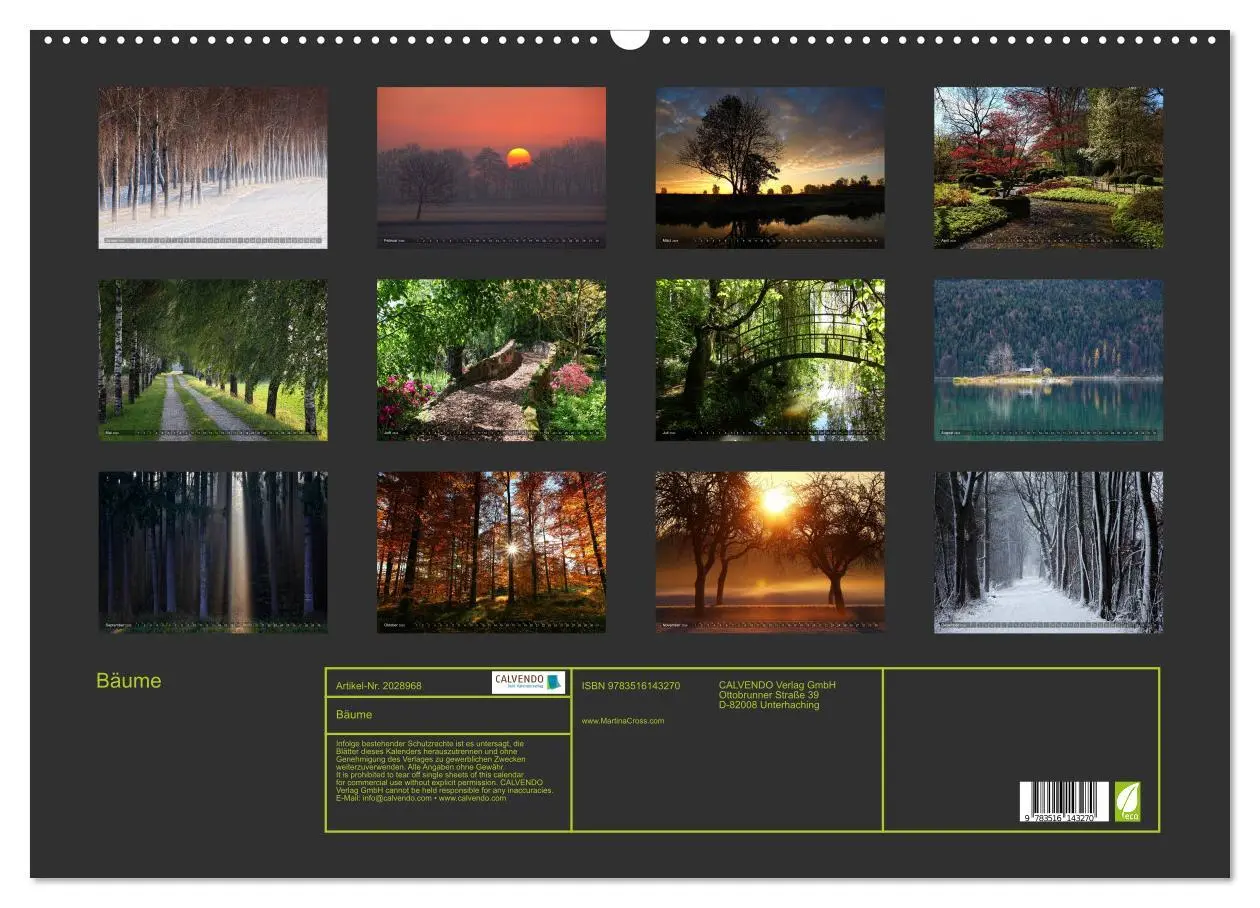 Bild: 9783516143270 | Bäume (Wandkalender 2026 DIN A2 quer), CALVENDO Monatskalender | Cross