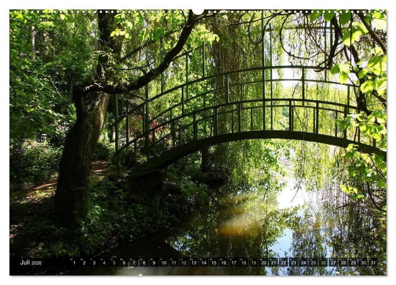 Bild: 9783516143270 | Bäume (Wandkalender 2026 DIN A2 quer), CALVENDO Monatskalender | Cross
