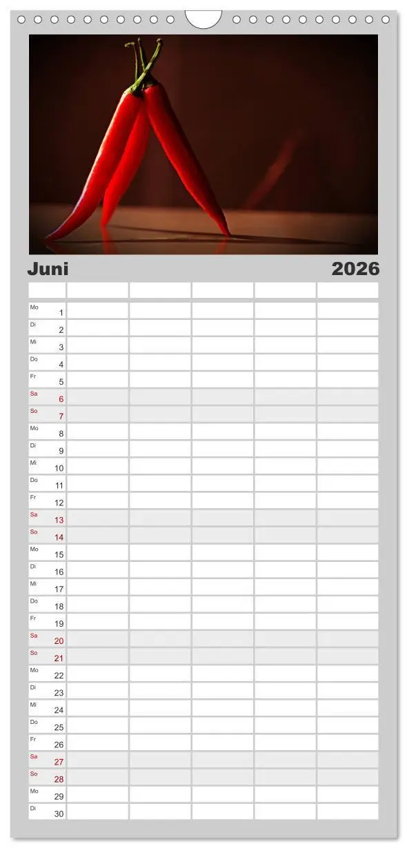 Bild: 9783516523270 | Familienplaner 2026 - Hot Chili Küchen Kalender mit 5 Spalten...