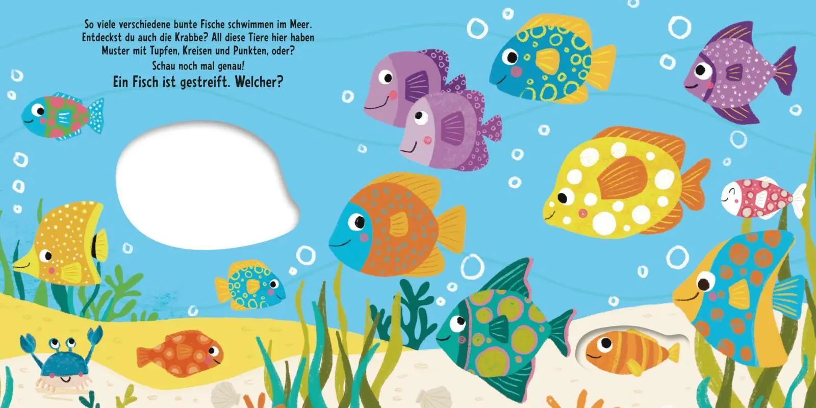 Bild: 9783551173270 | Schau, was passt genau? Im tiefen Meer | Julia Hofmann | Buch | 12 S.
