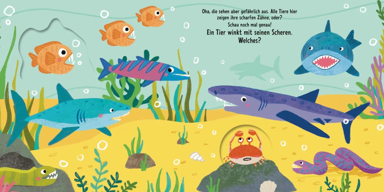 Bild: 9783551173270 | Schau, was passt genau? Im tiefen Meer | Julia Hofmann | Buch | 12 S.
