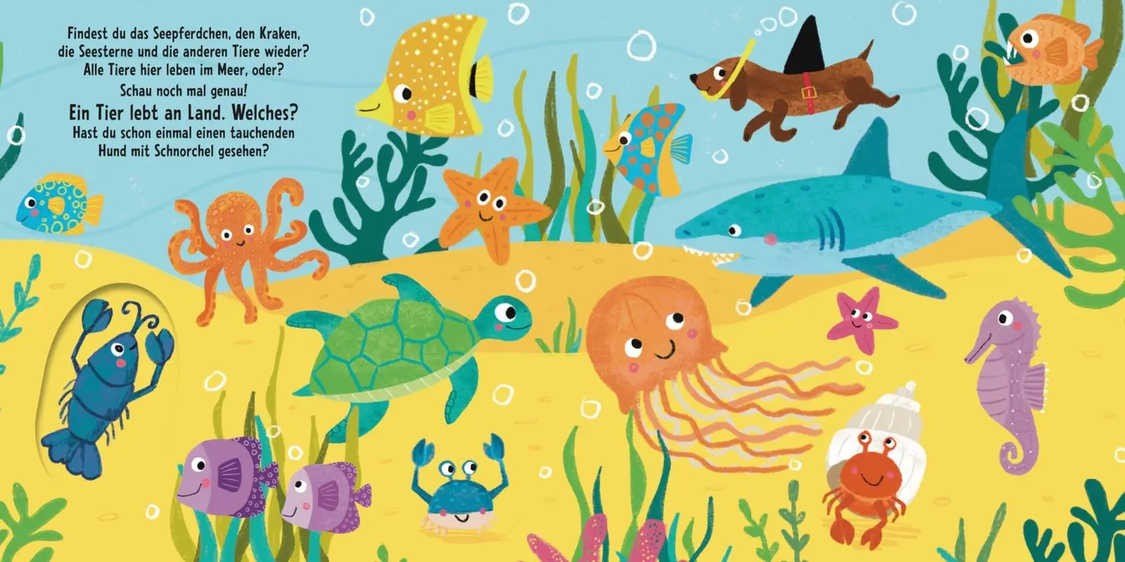 Bild: 9783551173270 | Schau, was passt genau? Im tiefen Meer | Julia Hofmann | Buch | 12 S.
