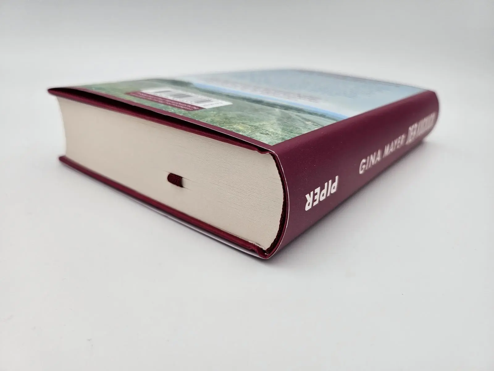 Bild: 9783492073370 | Der Kuckuck | Gina Mayer | Buch | 432 S. | Deutsch | 2025