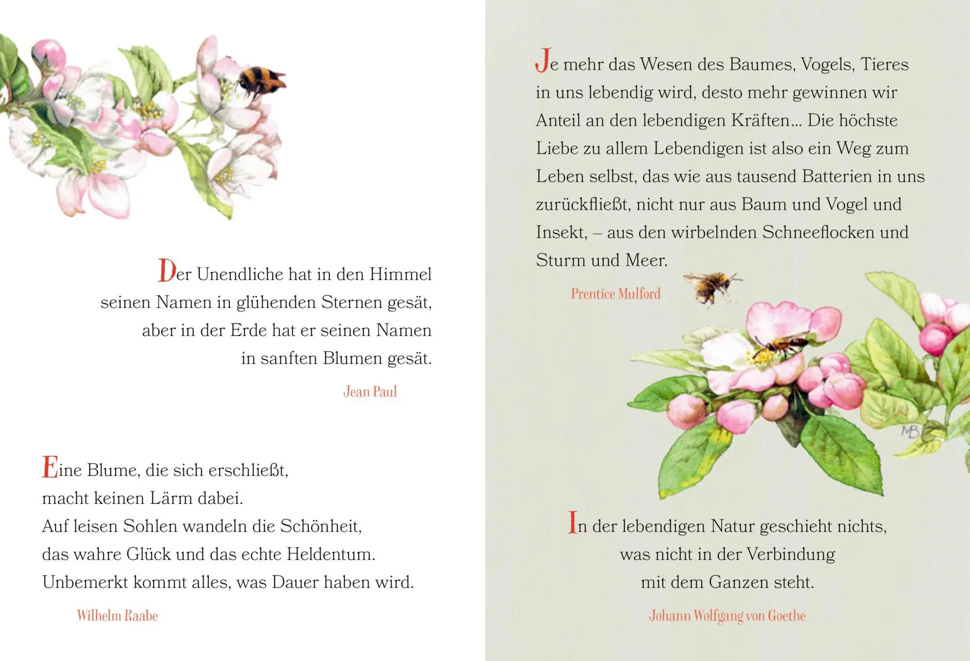 Bild: 9783649653370 | Der Weg zum Glück führt durch den Garten | Marjolein Bastin | Buch