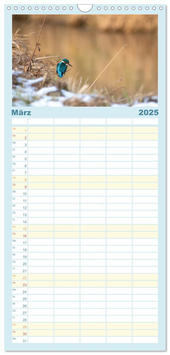 Bild: 9783457103470 | Familienplaner 2025 - Eisvogel im Porträt mit 5 Spalten...