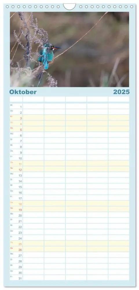 Bild: 9783457103470 | Familienplaner 2025 - Eisvogel im Porträt mit 5 Spalten...