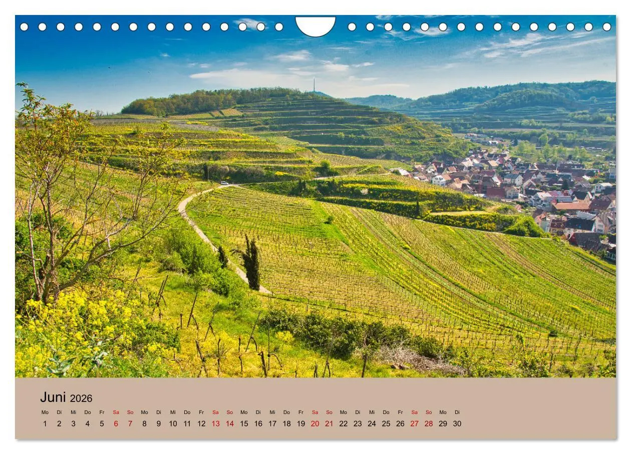 Bild: 9783457273470 | Kaiserstuhlblicke (Wandkalender 2026 DIN A4 quer), CALVENDO...