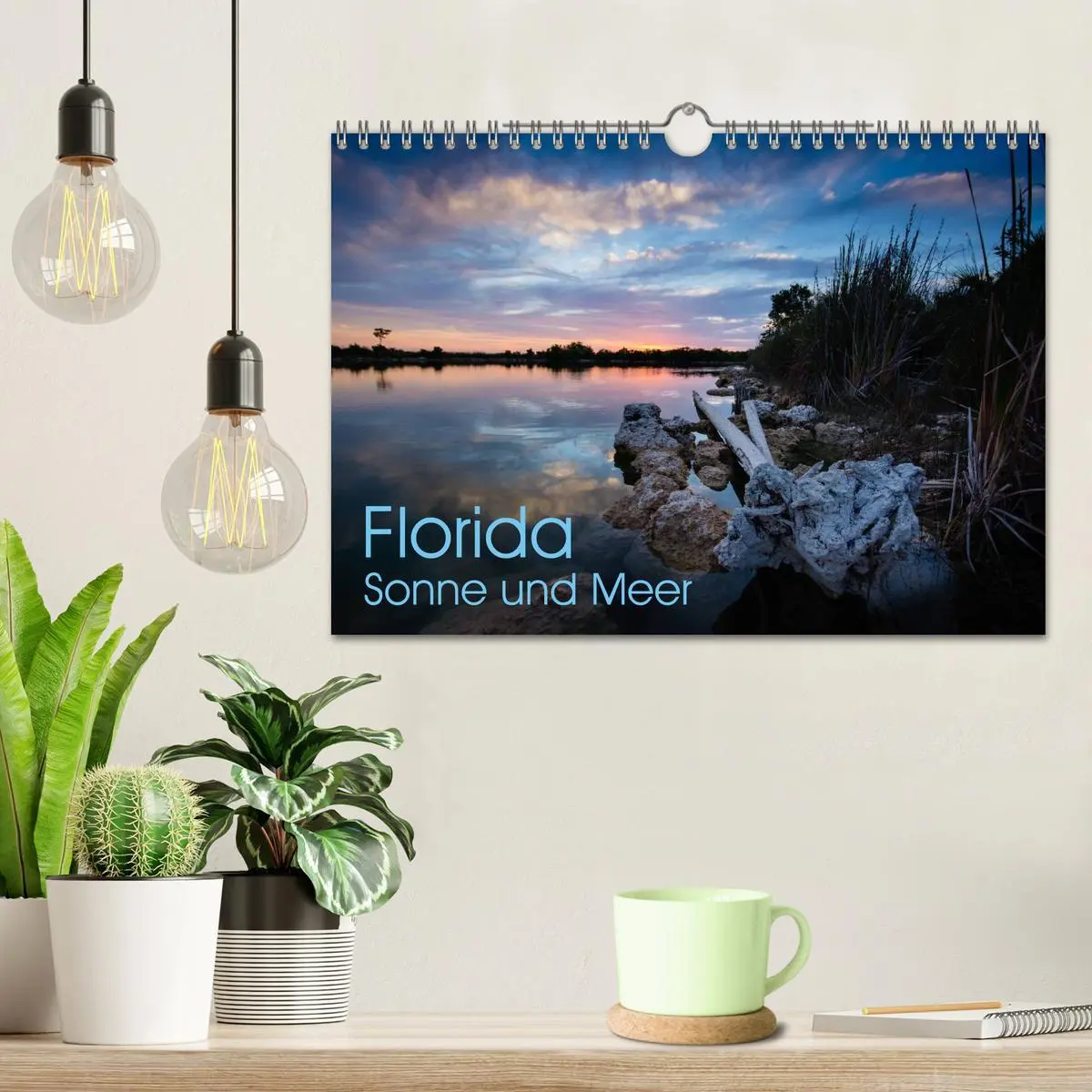 Bild: 9783516053470 | Florida. Sonne und Meer (Wandkalender 2026 DIN A4 quer), CALVENDO...