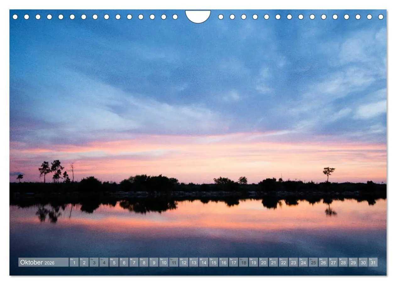 Bild: 9783516053470 | Florida. Sonne und Meer (Wandkalender 2026 DIN A4 quer), CALVENDO...