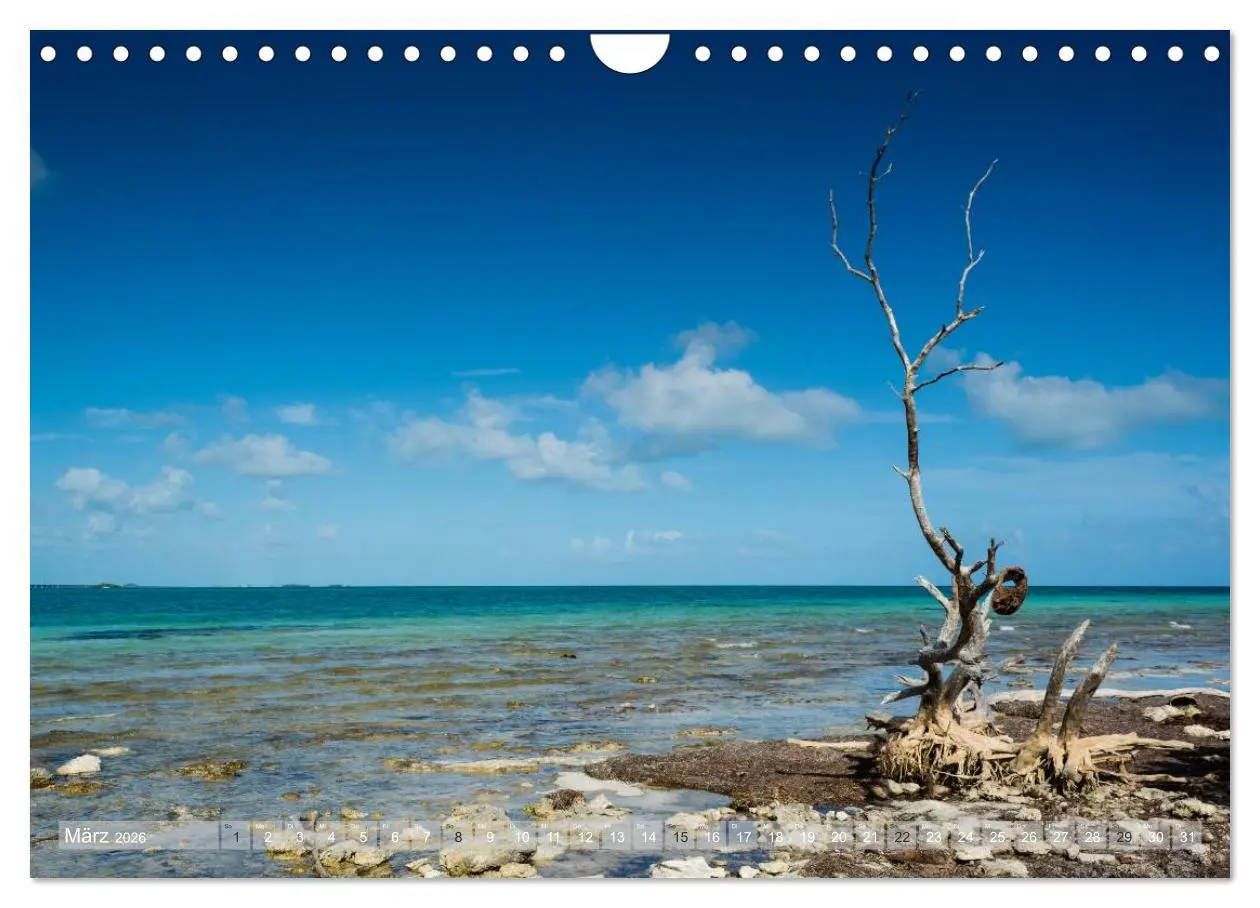 Bild: 9783516053470 | Florida. Sonne und Meer (Wandkalender 2026 DIN A4 quer), CALVENDO...