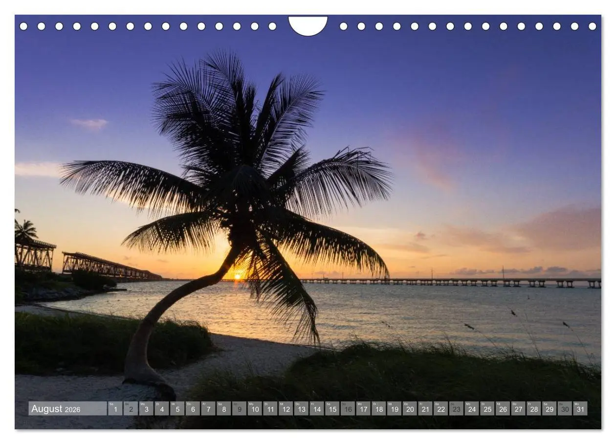 Bild: 9783516053470 | Florida. Sonne und Meer (Wandkalender 2026 DIN A4 quer), CALVENDO...