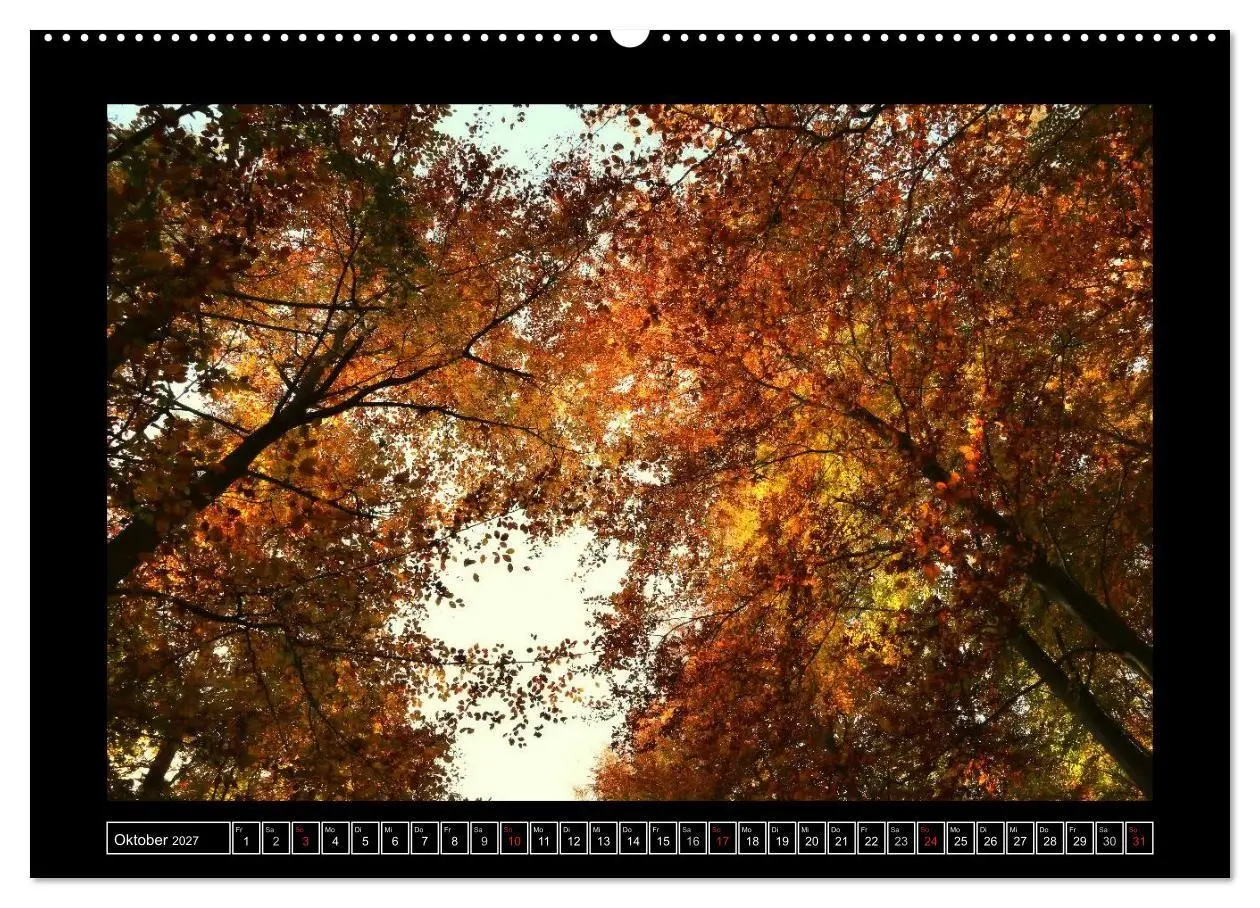 Bild: 9783569903470 | Der Reichswald bei Kleve (hochwertiger Premium Wandkalender 2027...