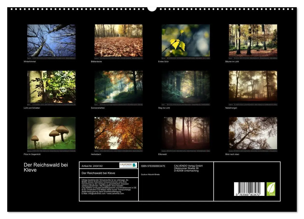 Bild: 9783569903470 | Der Reichswald bei Kleve (hochwertiger Premium Wandkalender 2027...