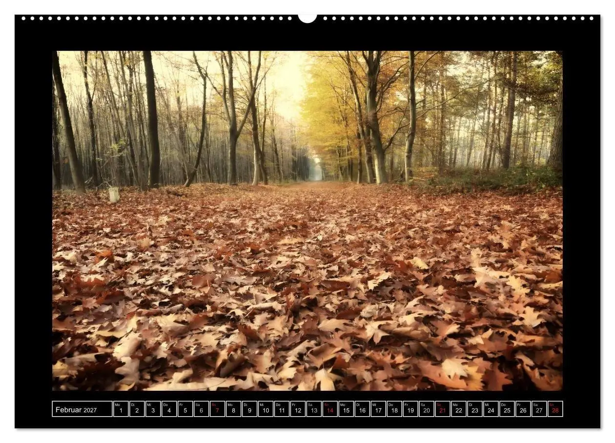 Bild: 9783569903470 | Der Reichswald bei Kleve (hochwertiger Premium Wandkalender 2027...