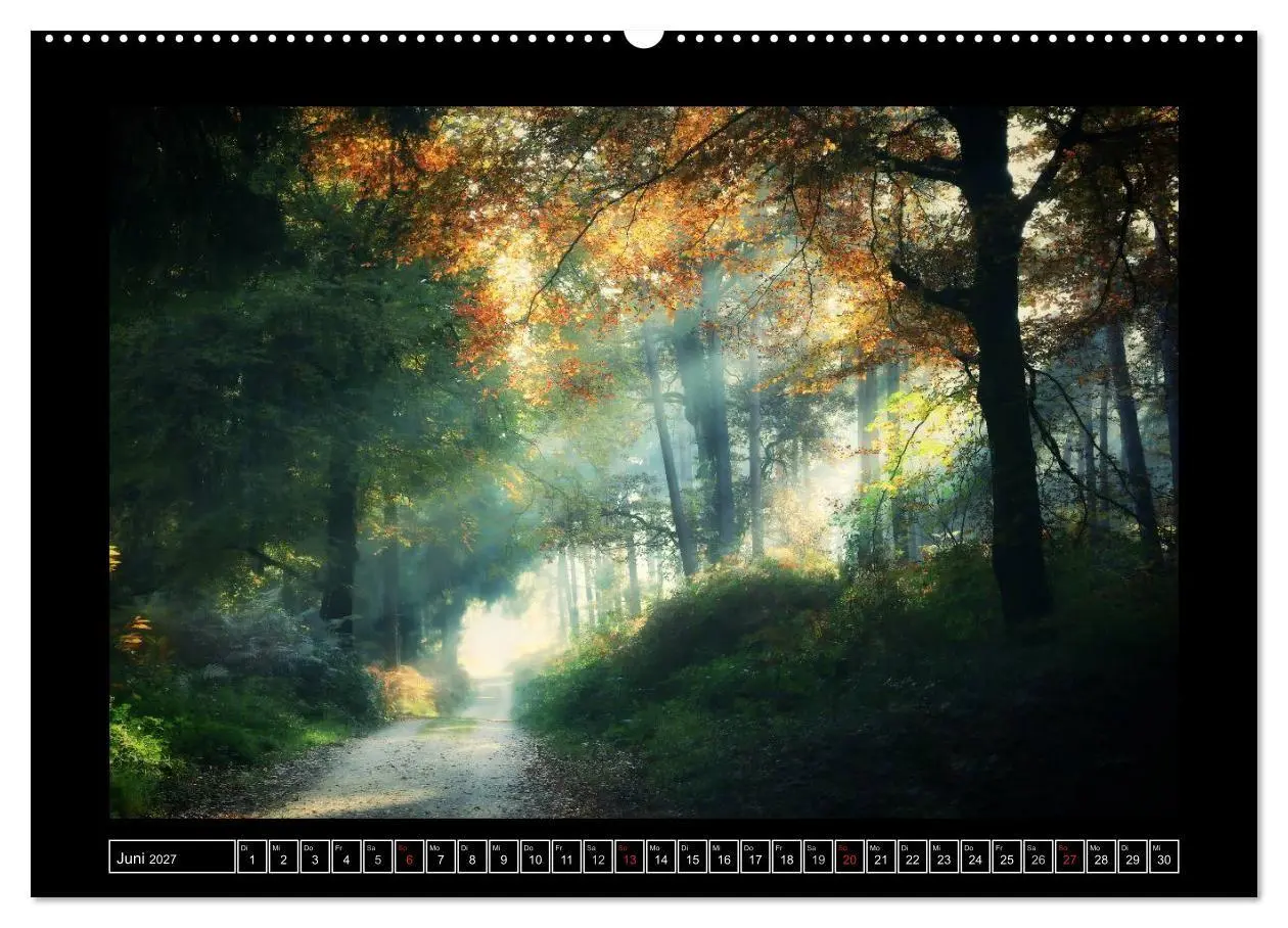 Bild: 9783569903470 | Der Reichswald bei Kleve (hochwertiger Premium Wandkalender 2027...