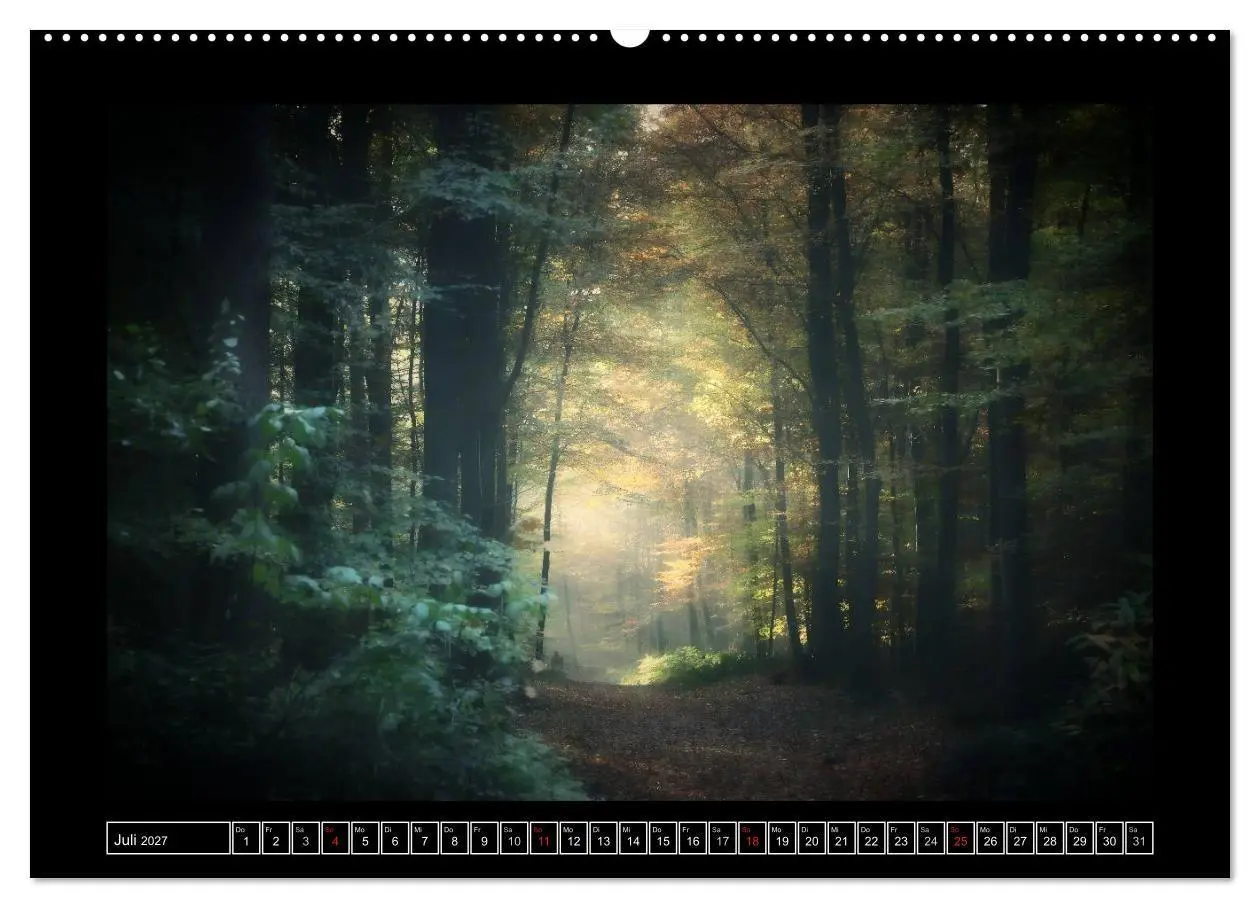 Bild: 9783569903470 | Der Reichswald bei Kleve (hochwertiger Premium Wandkalender 2027...