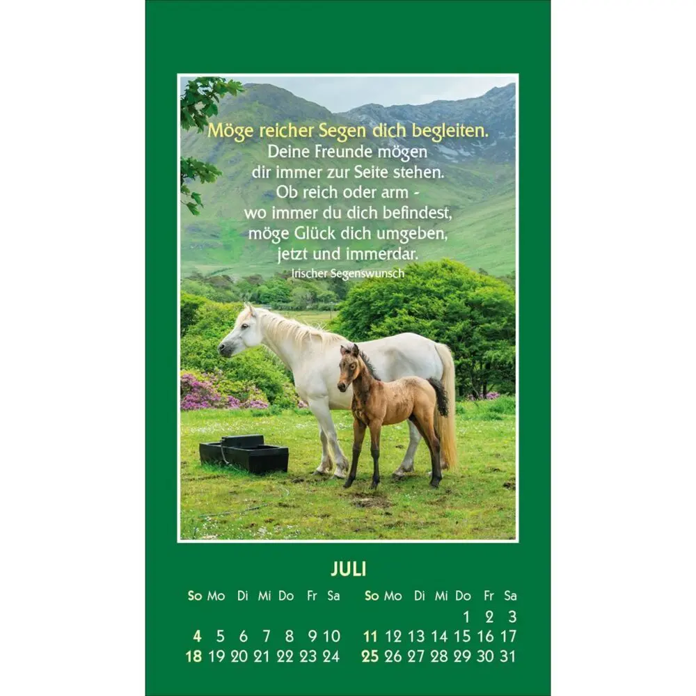 Bild: 9783754893470 | Möge Gott deinen Weg segnen 2027 | Kalender | Spiralbindung | 14 S.