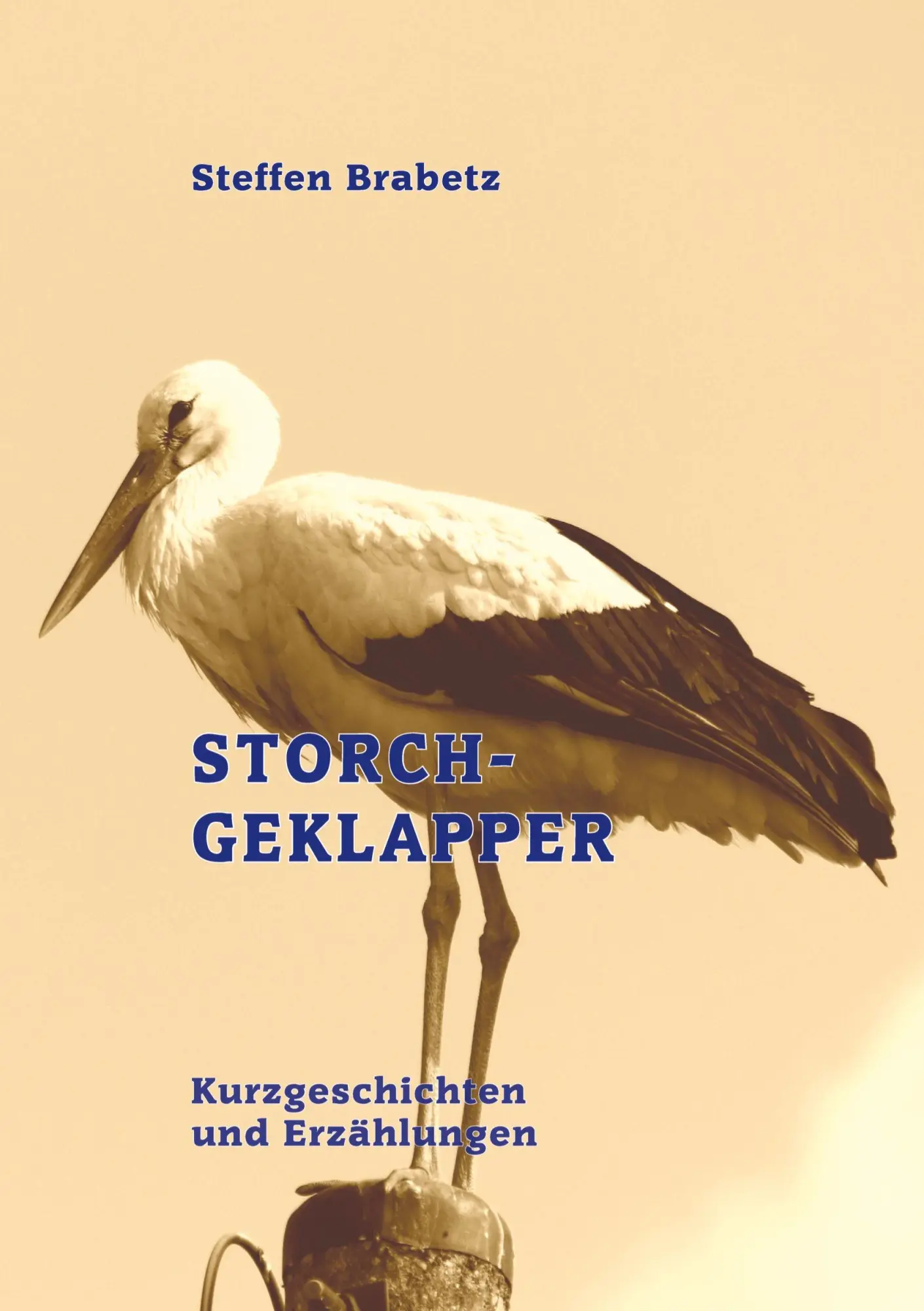Cover: 9783384693570 | Storchgeklapper | Steffen Brabetz | Taschenbuch | 360 S. | Deutsch