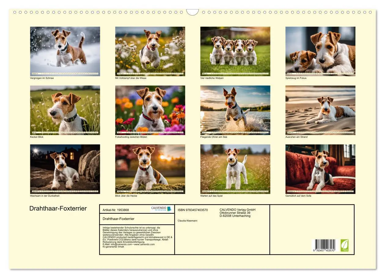 Bild: 9783457403570 | Drahthaar-Foxterrier (Wandkalender 2026 DIN A2 quer), CALVENDO...