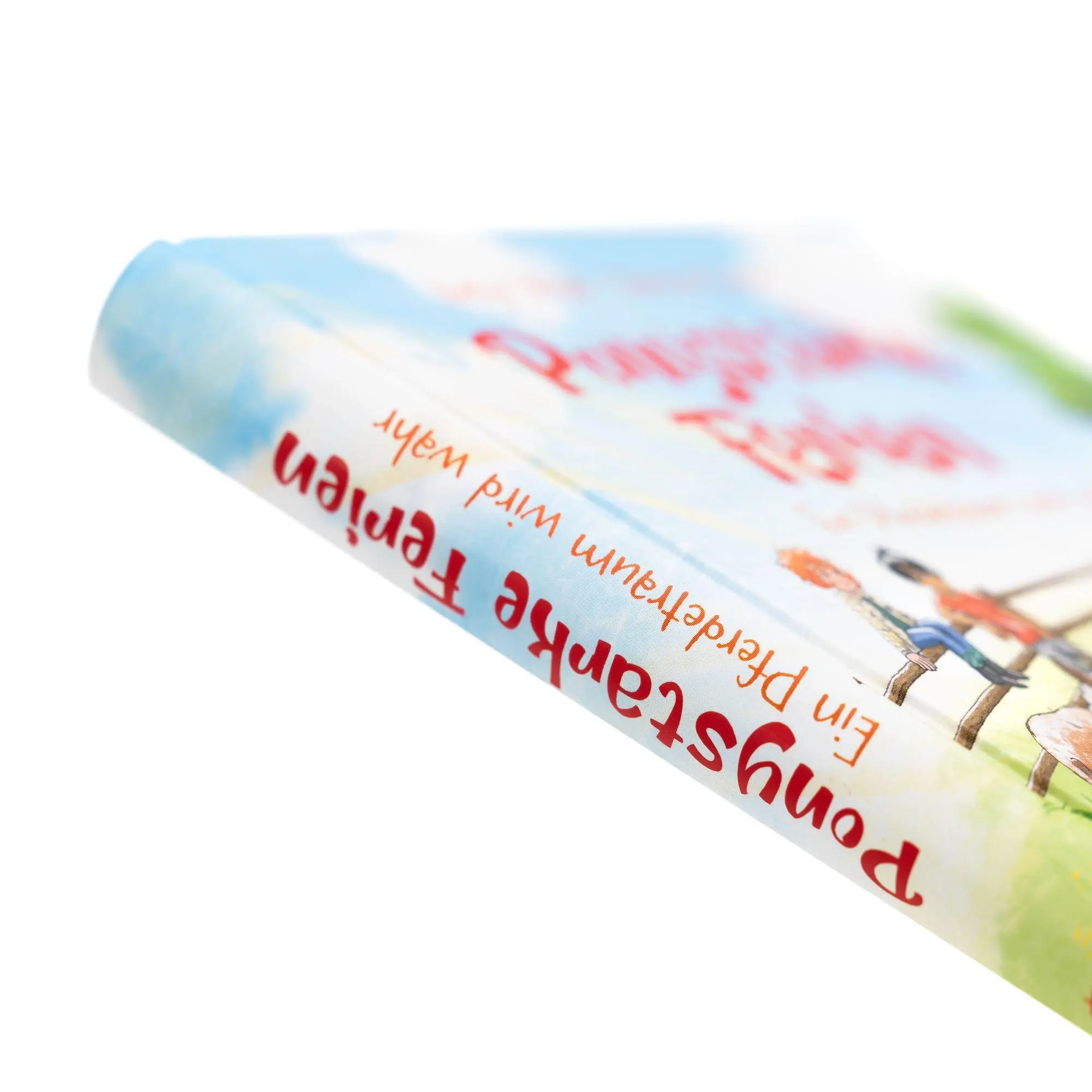 Bild: 9783505153570 | Ponystarke Ferien. Ein Pferdetraum wird wahr (Band 1) | Buch | 176 S.