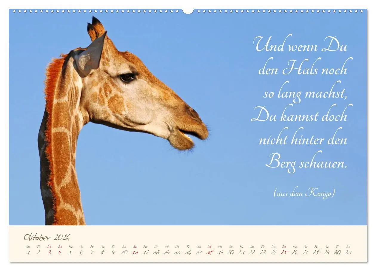 Bild: 9783457943670 | AFRIKA mit einem Hauch von Poesie (hochwertiger Premium...