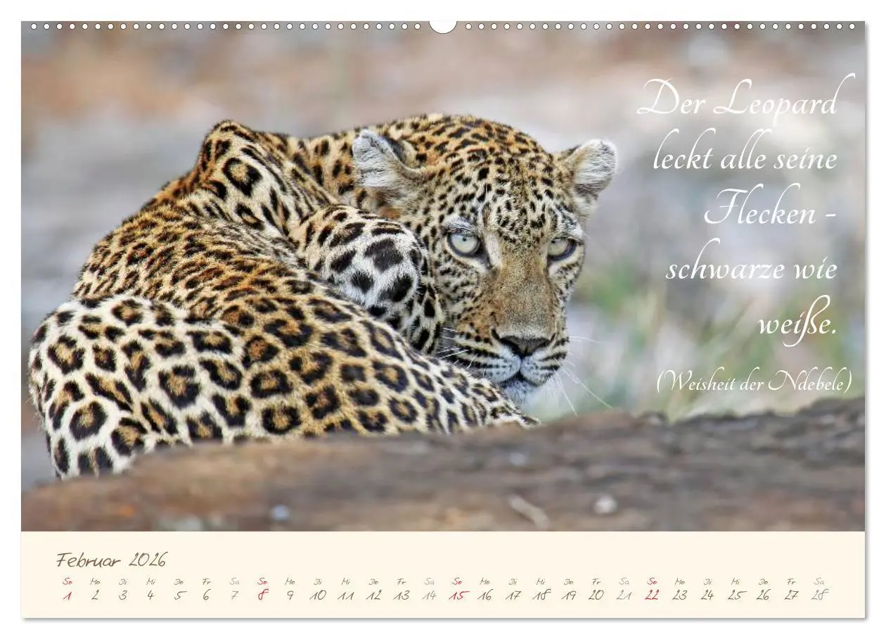 Bild: 9783457943670 | AFRIKA mit einem Hauch von Poesie (hochwertiger Premium...