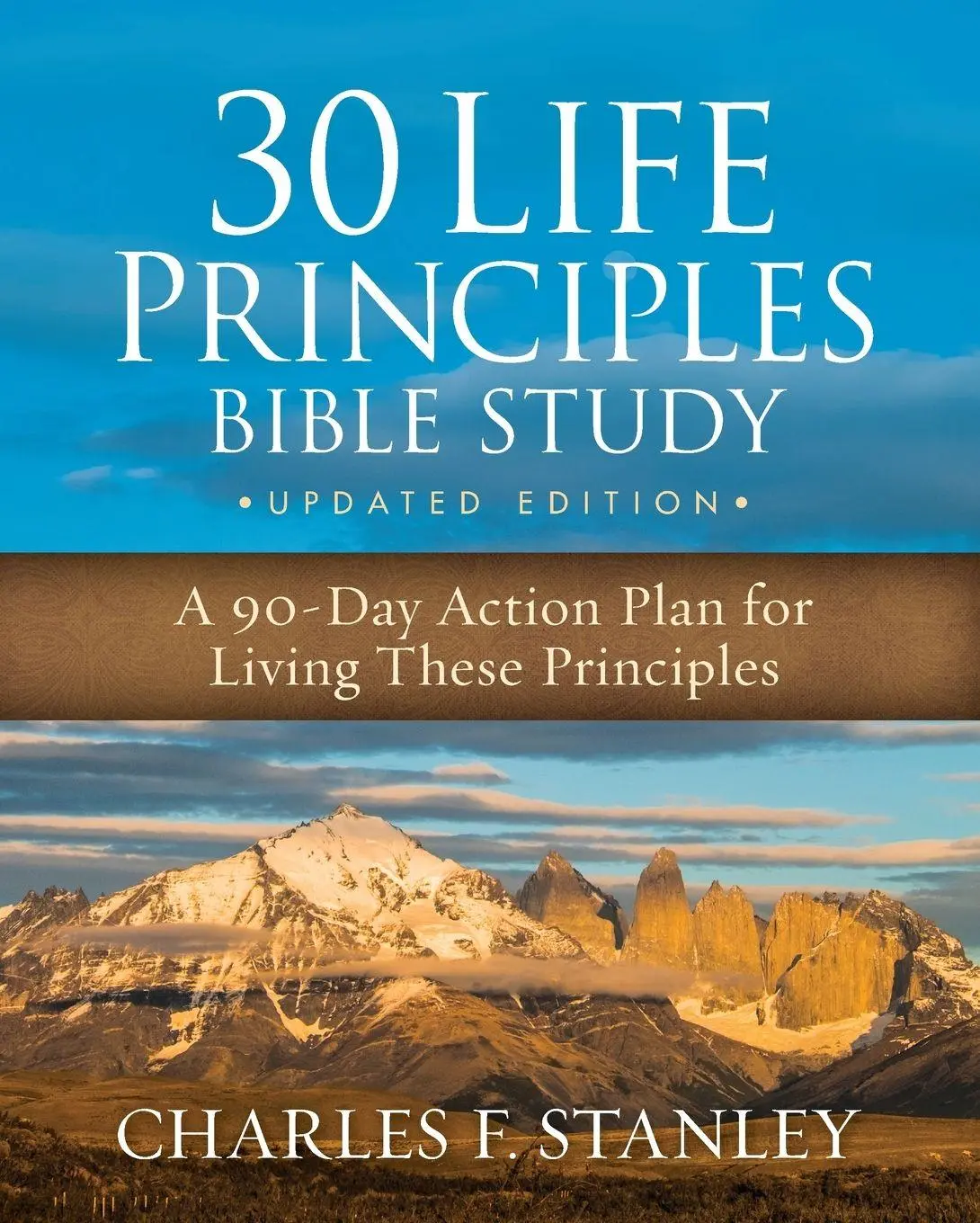 Cover: 9780310163770 | The 30 Life Principles Bible Study Updated Edition | Stanley | Buch