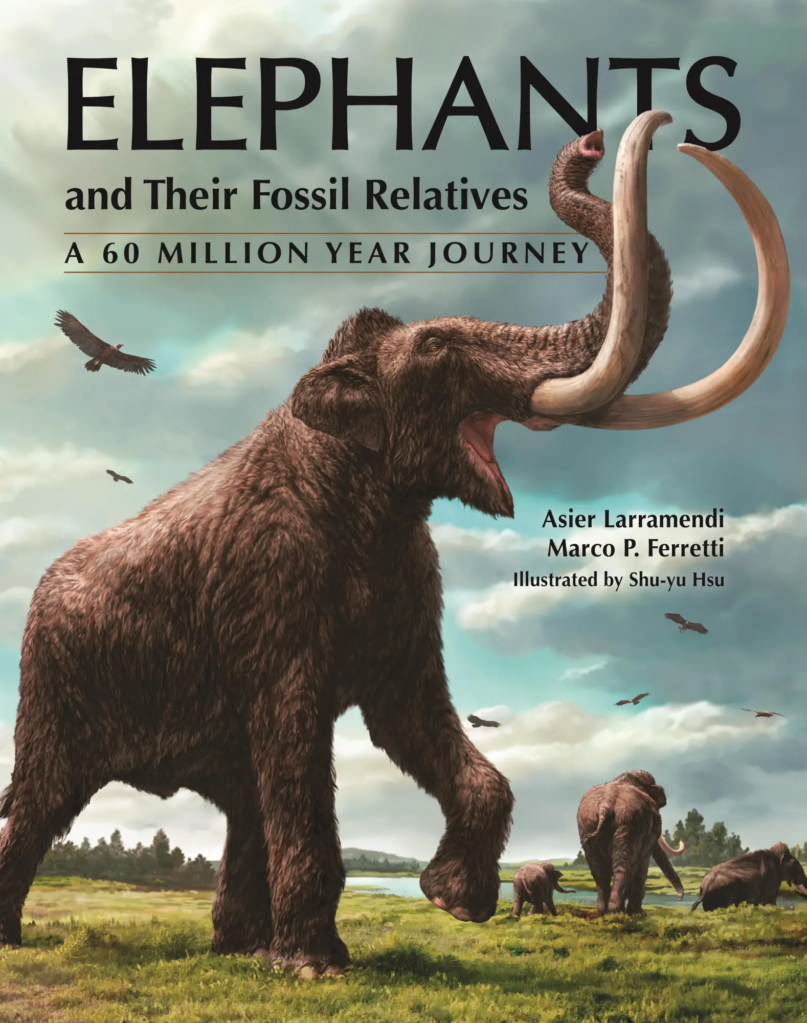 Cover: 9780691183770 | Elephants and Their Fossil Relatives | A 60 Million Year Journey
