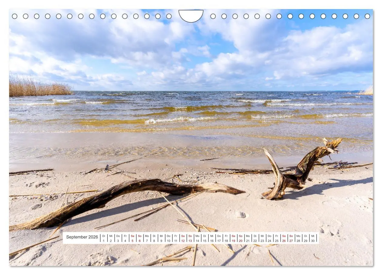Bild: 9783457623770 | Region Ueckermünde (Wandkalender 2026 DIN A4 quer), CALVENDO...