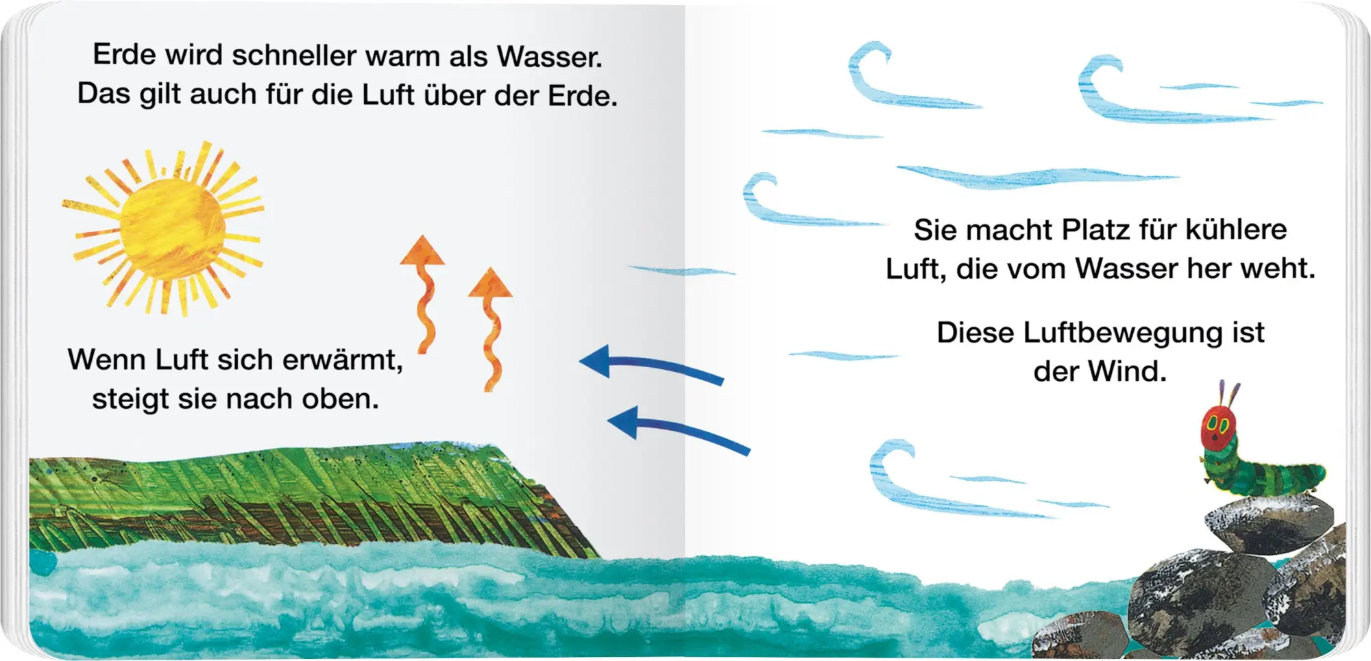 Bild: 9783836963770 | Warum weht der Wind? | Erklär mir das, kleine Raupe Nimmersatt! | Buch
