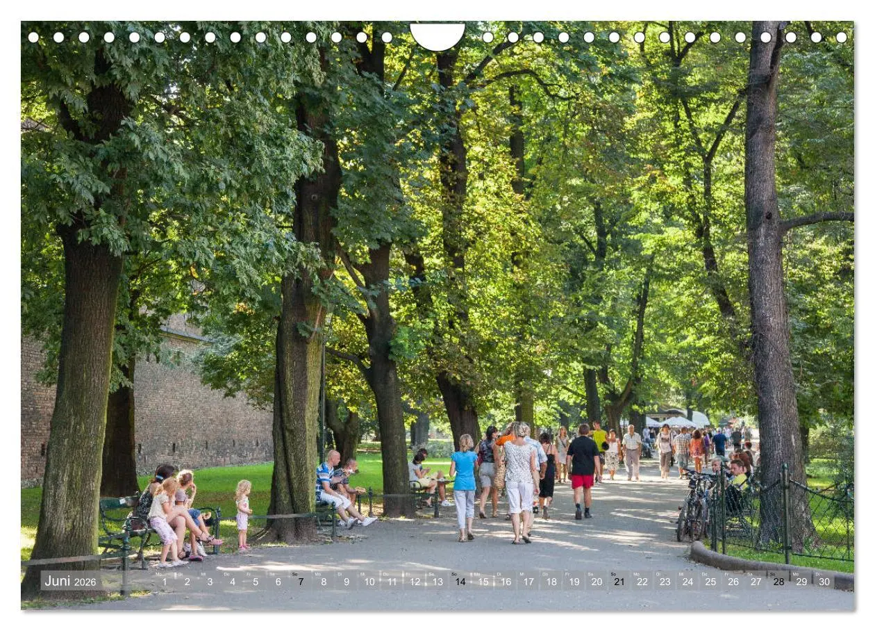 Bild: 9783457853870 | Polen Poesie (Wandkalender 2026 DIN A4 quer), CALVENDO Monatskalender