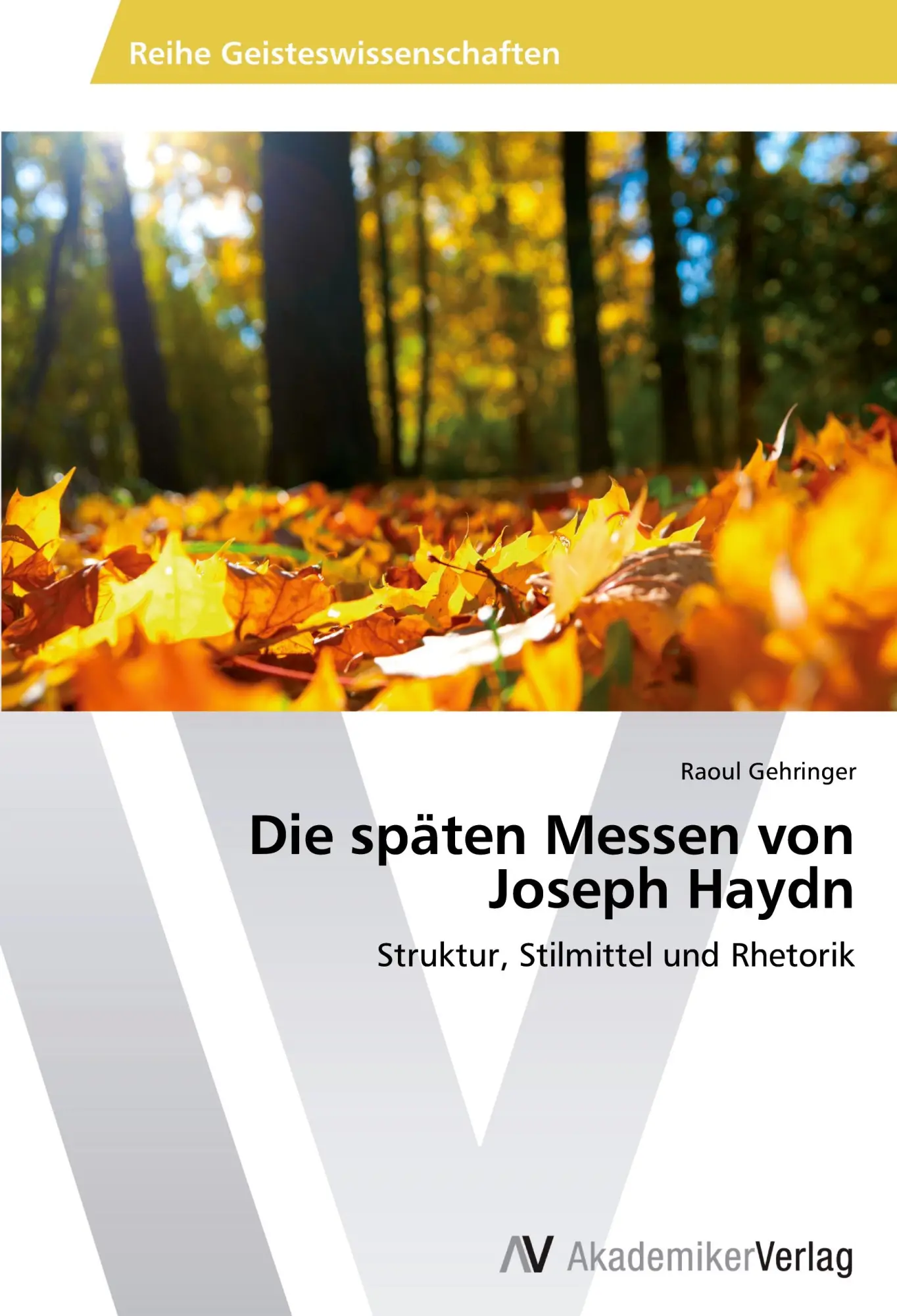 Cover: 9783639633870 | Die späten Messen von Joseph Haydn | Struktur, Stilmittel und Rhetorik