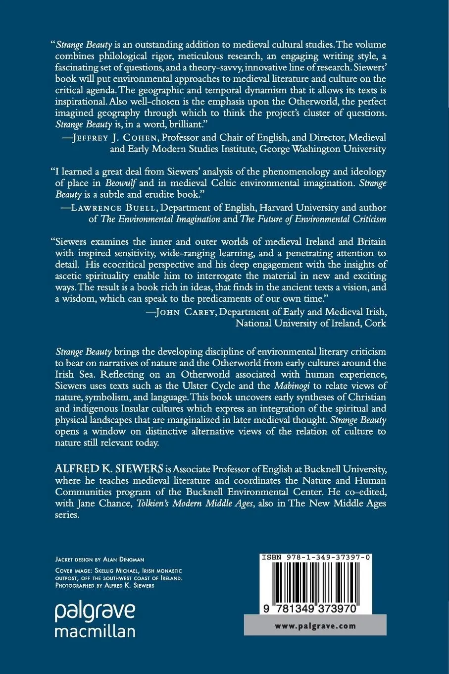 Rückseite: 9781349373970 | Strange Beauty | Ecocritical Approaches to Early Medieval Landscape