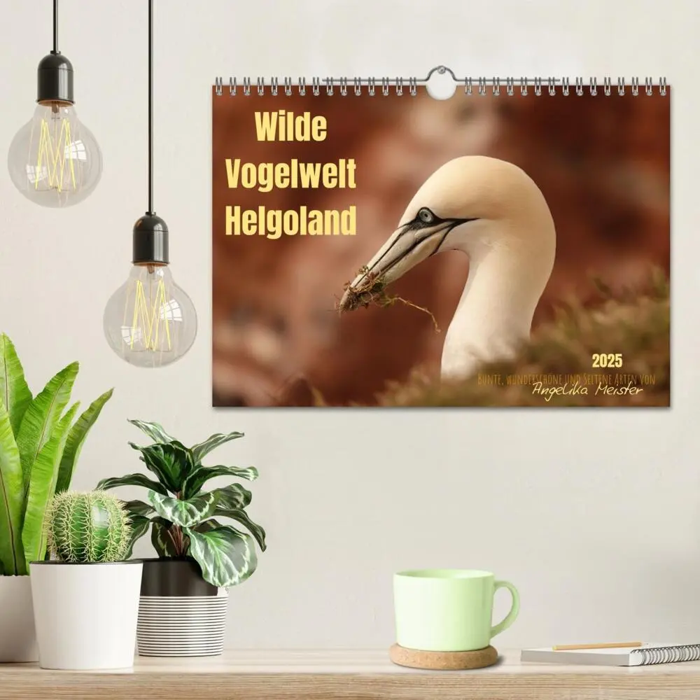 Bild: 9783383973970 | Wilde Vogelwelt Helgoland (Wandkalender 2025 DIN A4 quer), CALVENDO...
