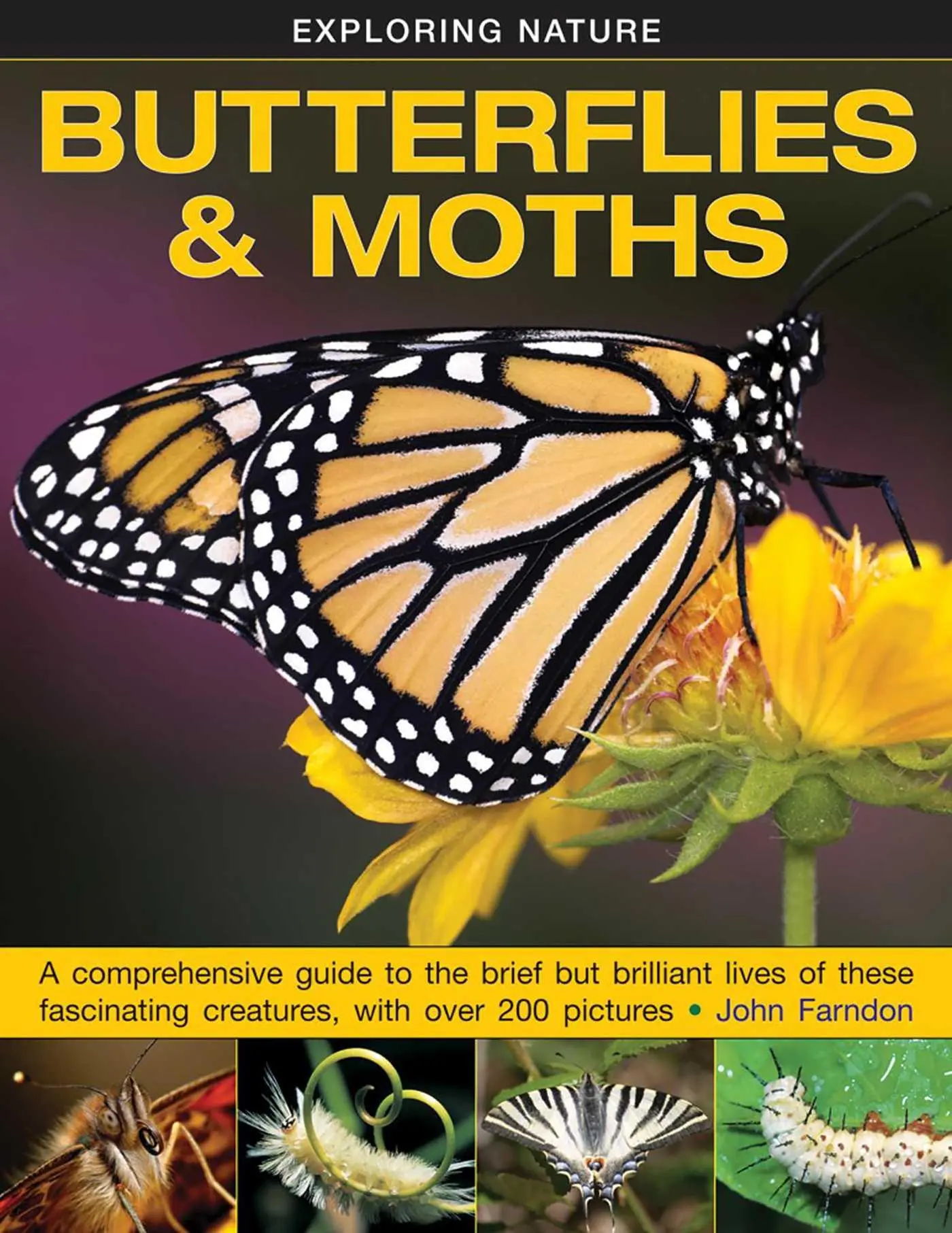 Cover: 9781861474070 | Exploring Nature: Butterflies &amp; Moths | Farndon John | Buch | Gebunden