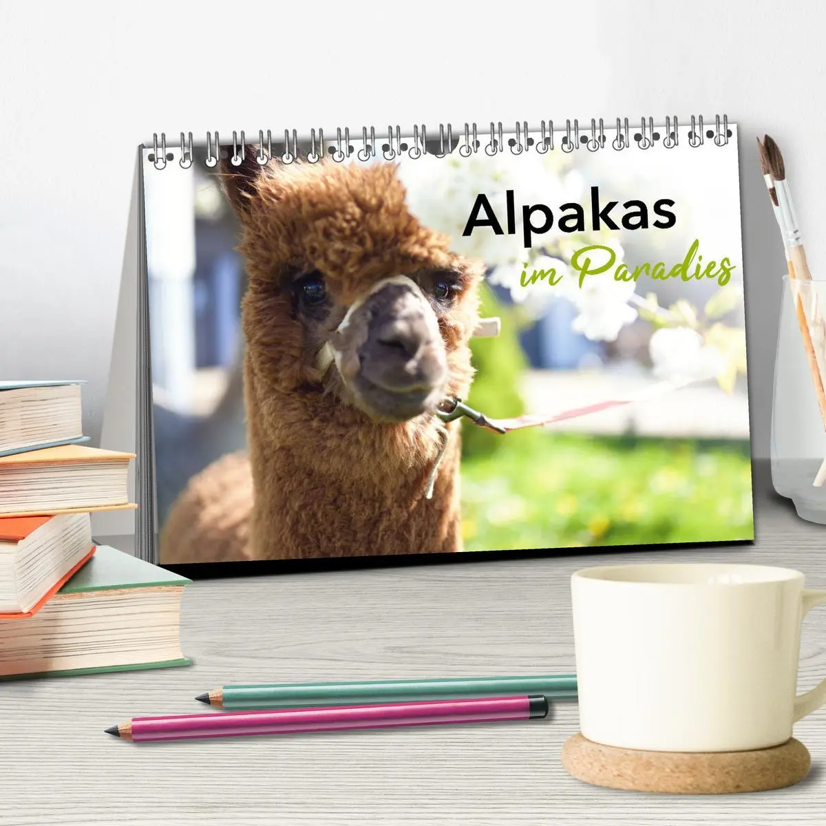Bild: 9783457354070 | Alpakas im Paradies (Tischkalender 2026 DIN A5 quer), CALVENDO...