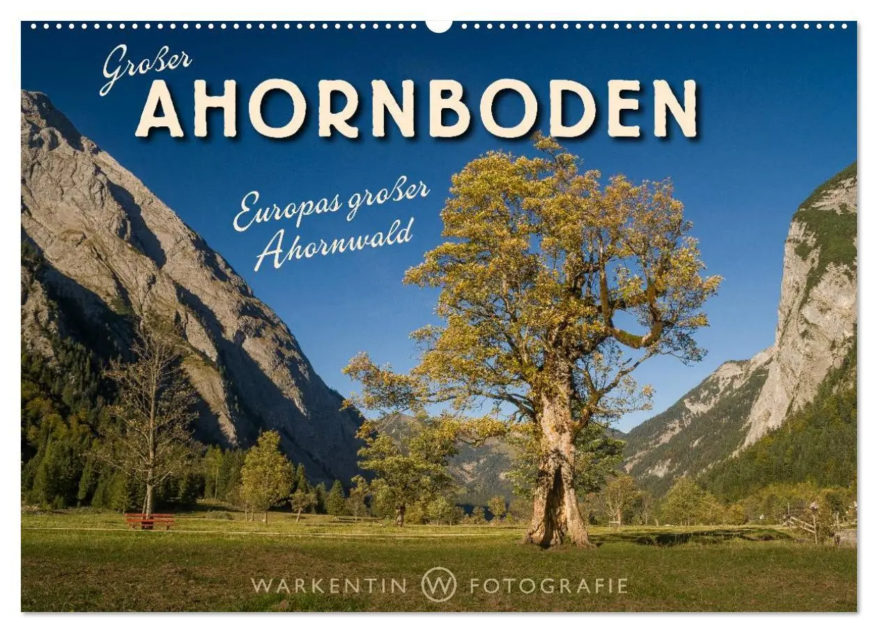Cover: 9783516064070 | Großer Ahornboden - Europas großer Ahornwald (Wandkalender 2026 DIN...