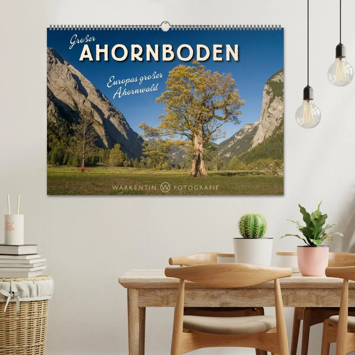 Bild: 9783516064070 | Großer Ahornboden - Europas großer Ahornwald (Wandkalender 2026 DIN...