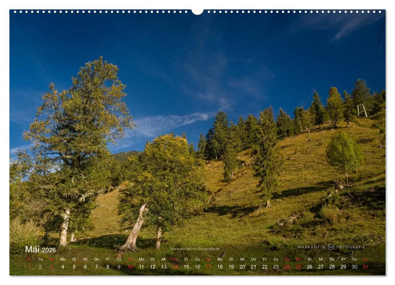 Bild: 9783516064070 | Großer Ahornboden - Europas großer Ahornwald (Wandkalender 2026 DIN...