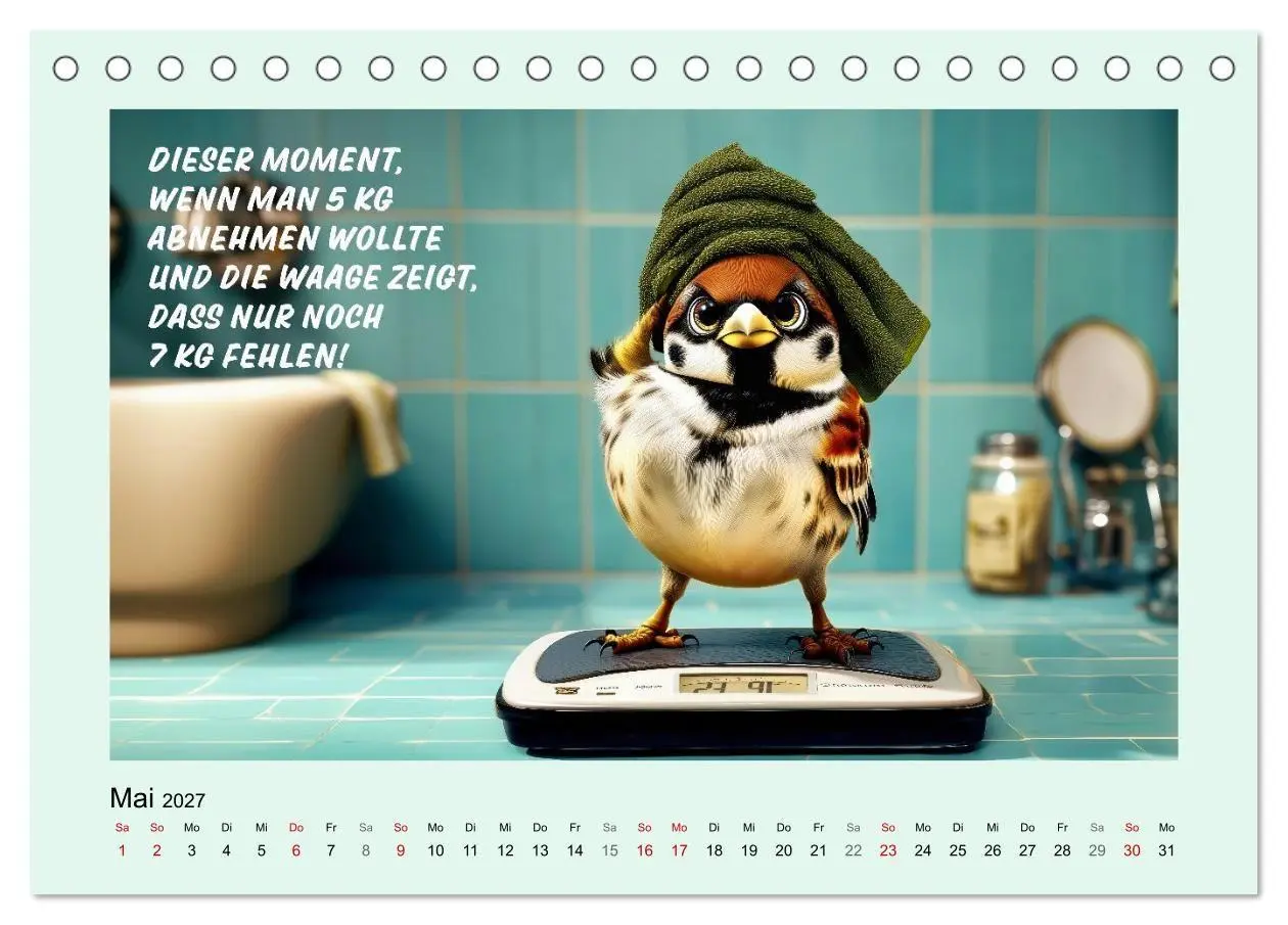 Bild: 9783516754070 | Kesse Spatzen (Tischkalender 2027 DIN A5 quer), CALVENDO...