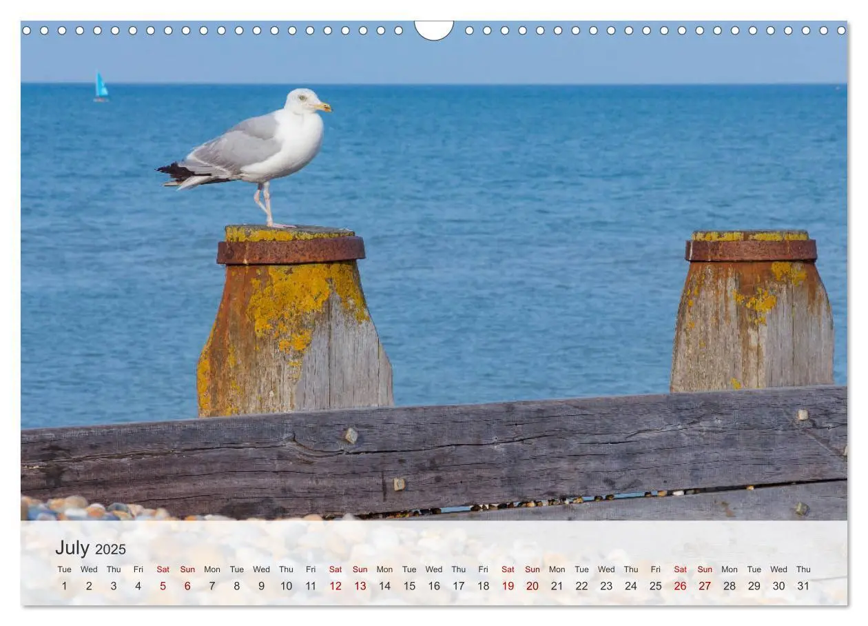 Bild: 9781325944170 | Eastbourne 2025 (Wall Calendar 2025 DIN A3 landscape), CALVENDO 12...