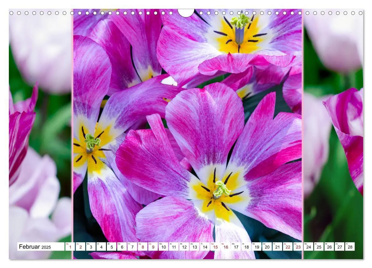 Bild: 9783435324170 | Tulpen - kunterbunte Collagen (Wandkalender 2025 DIN A3 quer),...