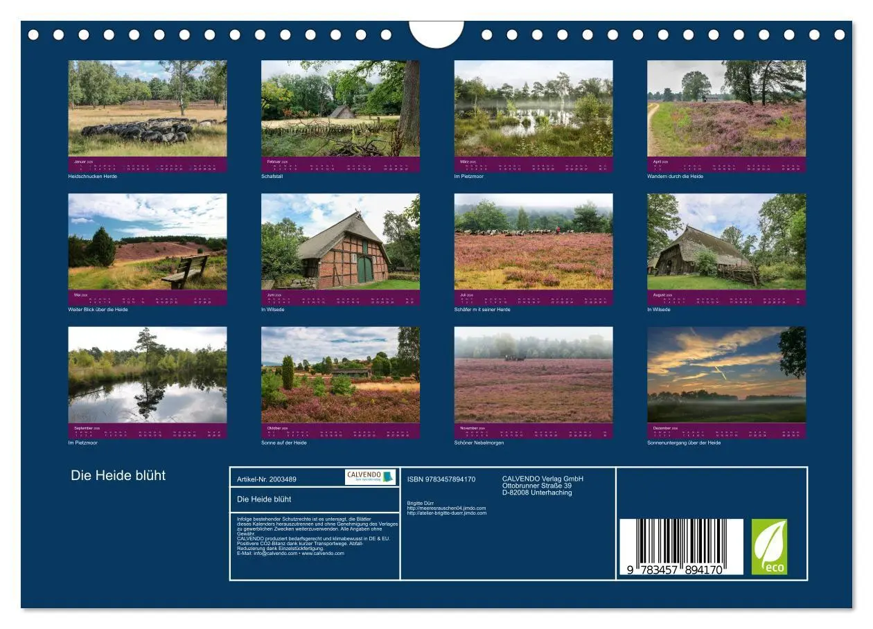 Bild: 9783457894170 | Die Heide blüht (Wandkalender 2026 DIN A4 quer), CALVENDO...