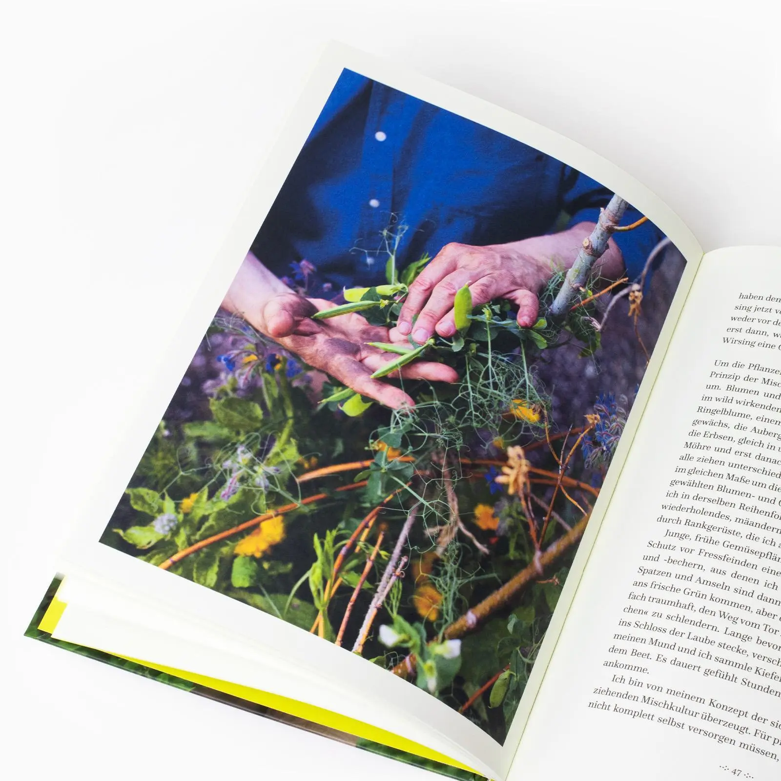Bild: 9783458644170 | Einfach gärtnern! Naturnah und nachhaltig | Horst Mager | Buch | 2024