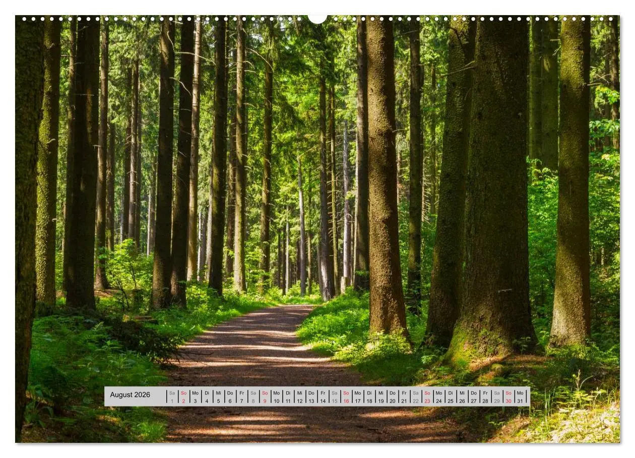 Bild: 9783516054170 | Perlen des Westerwaldes (hochwertiger Premium Wandkalender 2026 DIN...