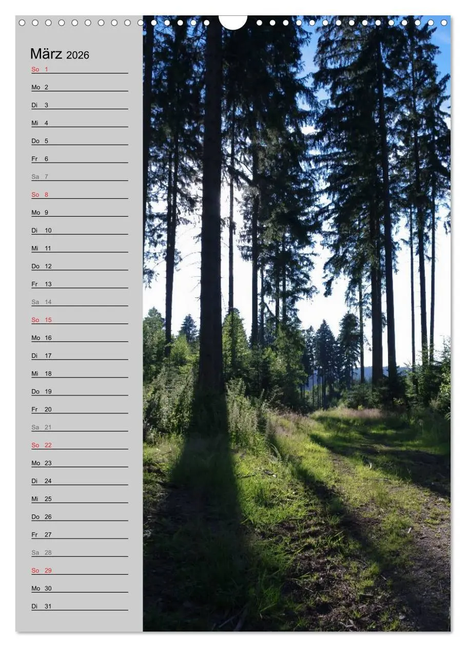 Bild: 9783516434170 | Traumhaftes Siegerland 2026 (Wandkalender 2026 DIN A3 hoch),...