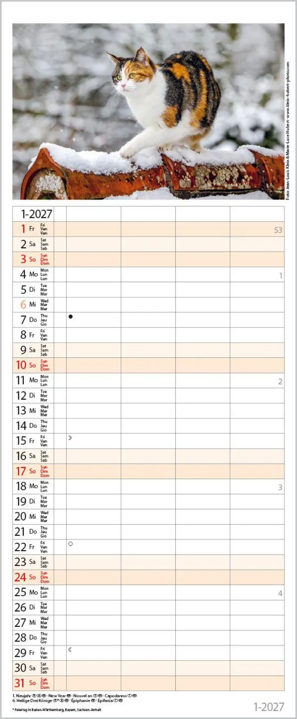 Bild: 9783819304170 | Auf Samtpfoten durch's Jahr 2027 | Verlag Korsch | Kalender | 14 S.